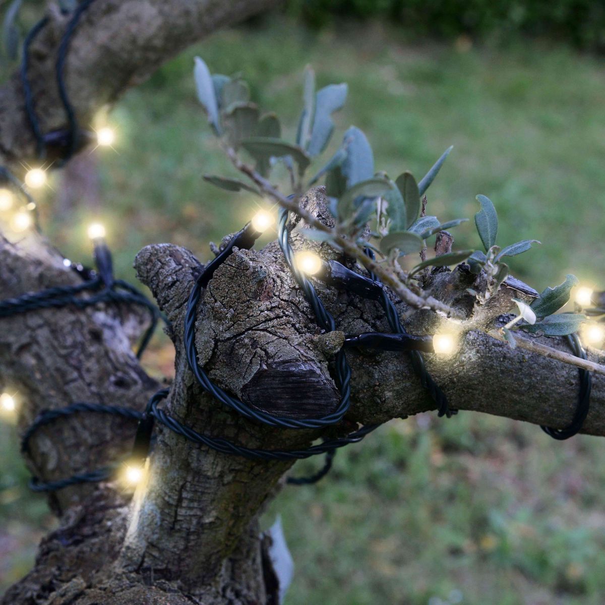 1 Pièce Guirlande Lumineuse De Décoration D'arbre - Temu Belgium