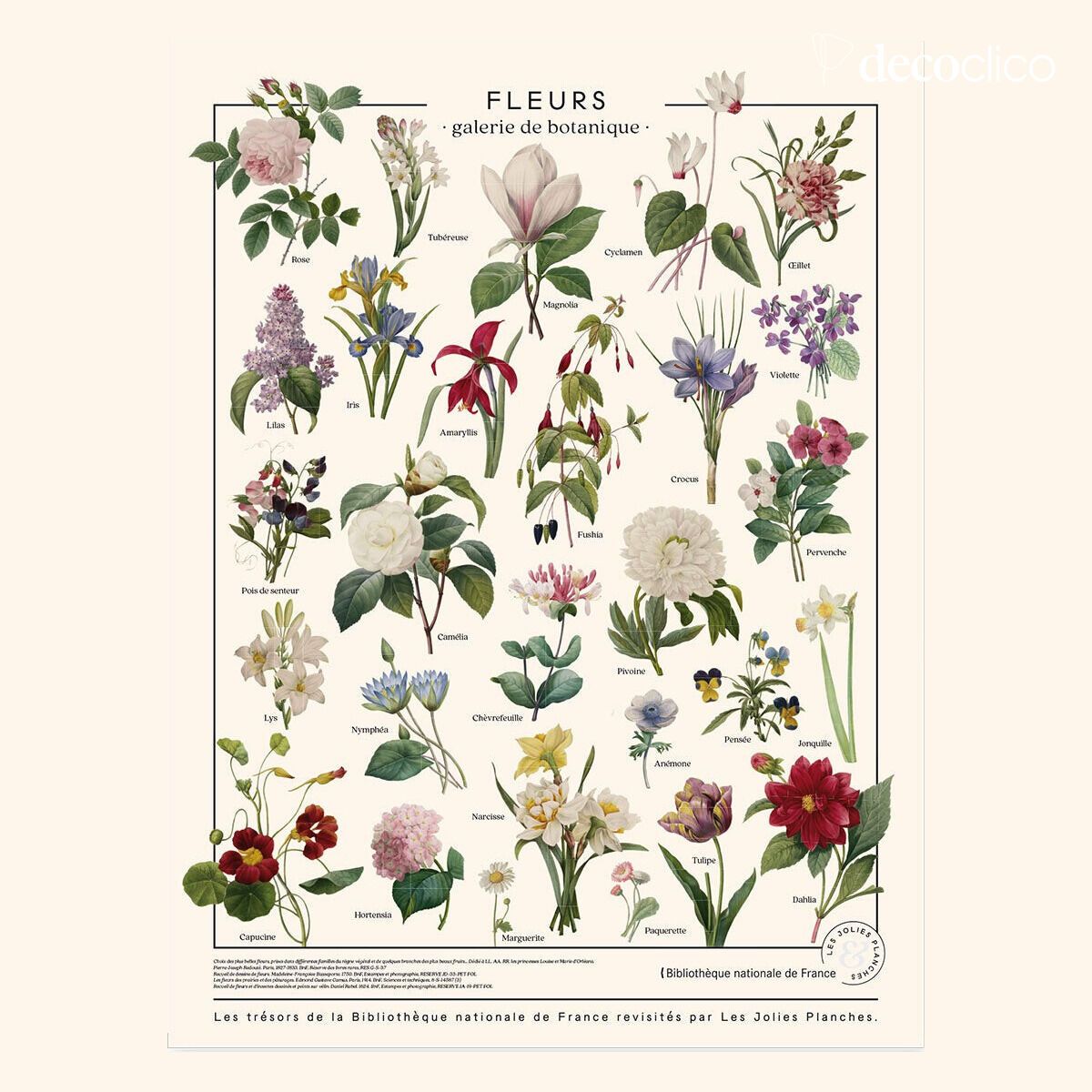 Bloemen Poster Les Jolies Planches 60x80 cm Les Jolies Planches