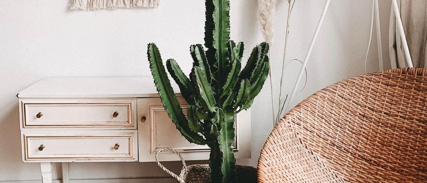 Pigiste d'un jour : la rénovation d'un appartement par Nathalie | Decoclico