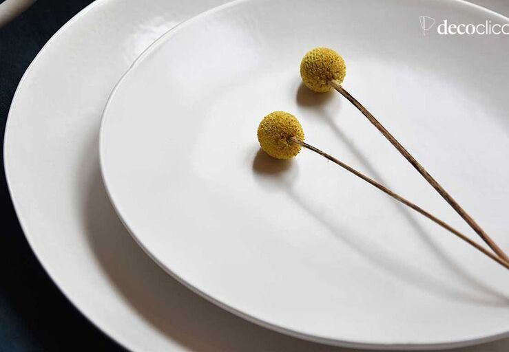 Servicio de platos de cerámica | Decoclico