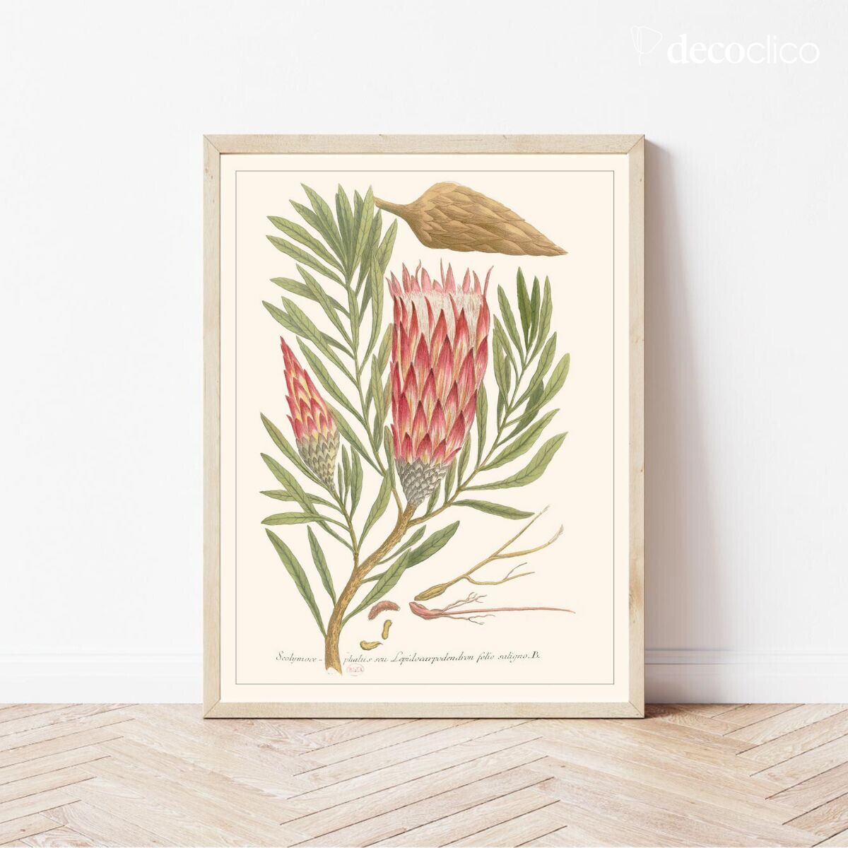 Poster Scolimoce Les Jolies Planches 30x40 cm Les Jolies Planches 