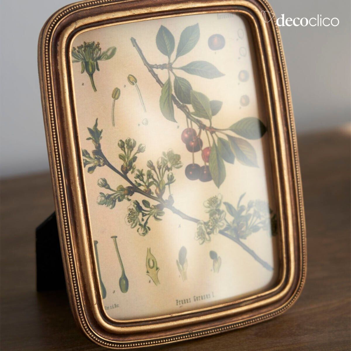 Rectangular photo frame with gold molding, 13 x 18 cm Manderley