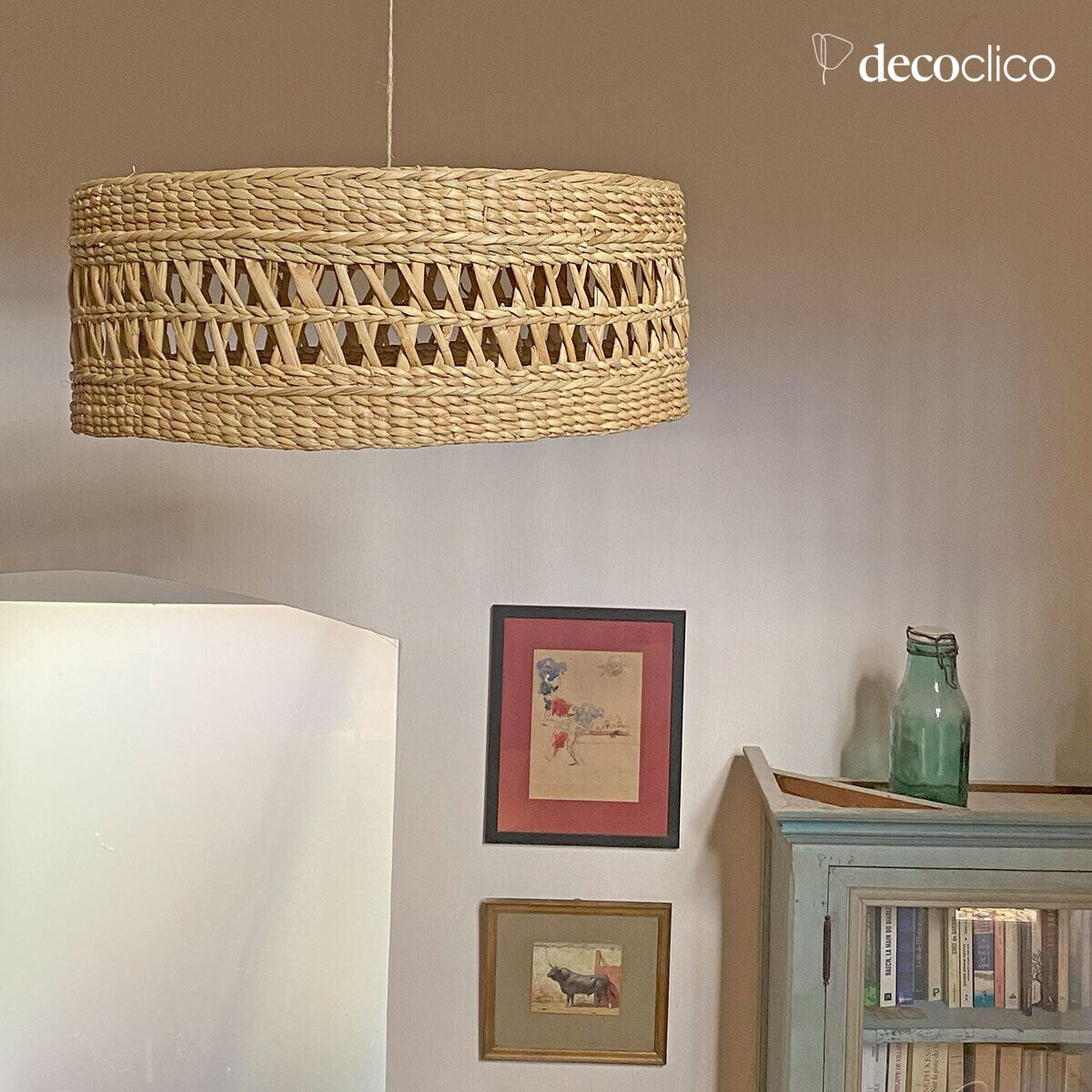 Round water hyacinth suspension (non-electrified) Céleste