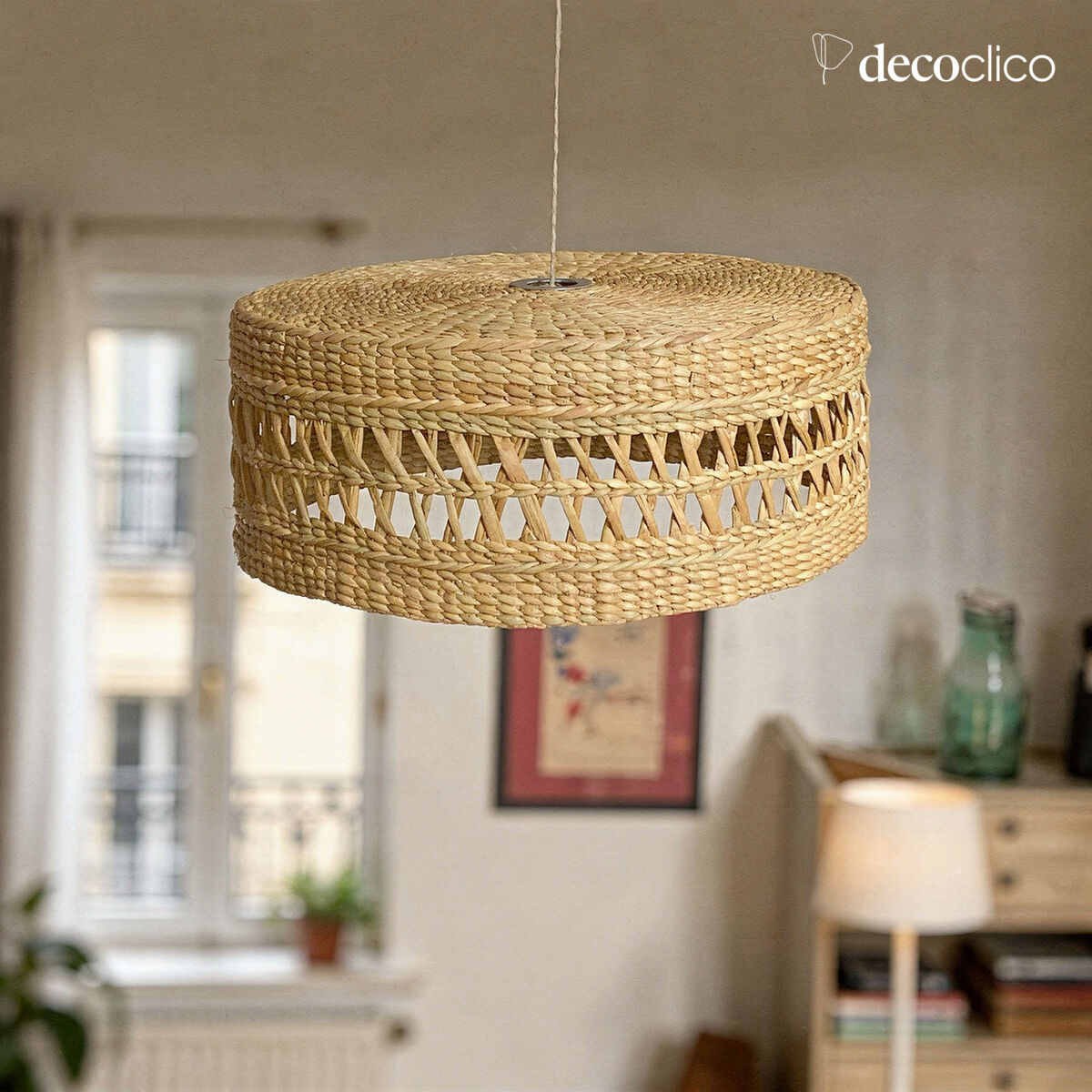 Round water hyacinth suspension (non-electrified) Céleste