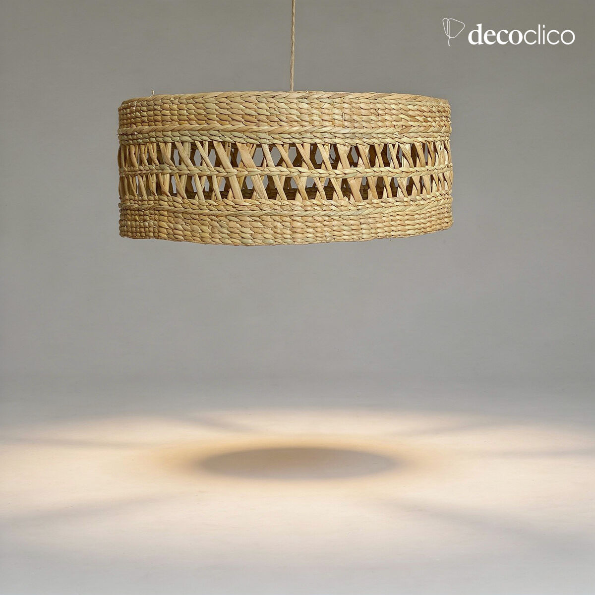 Round water hyacinth suspension (non-electrified) Céleste