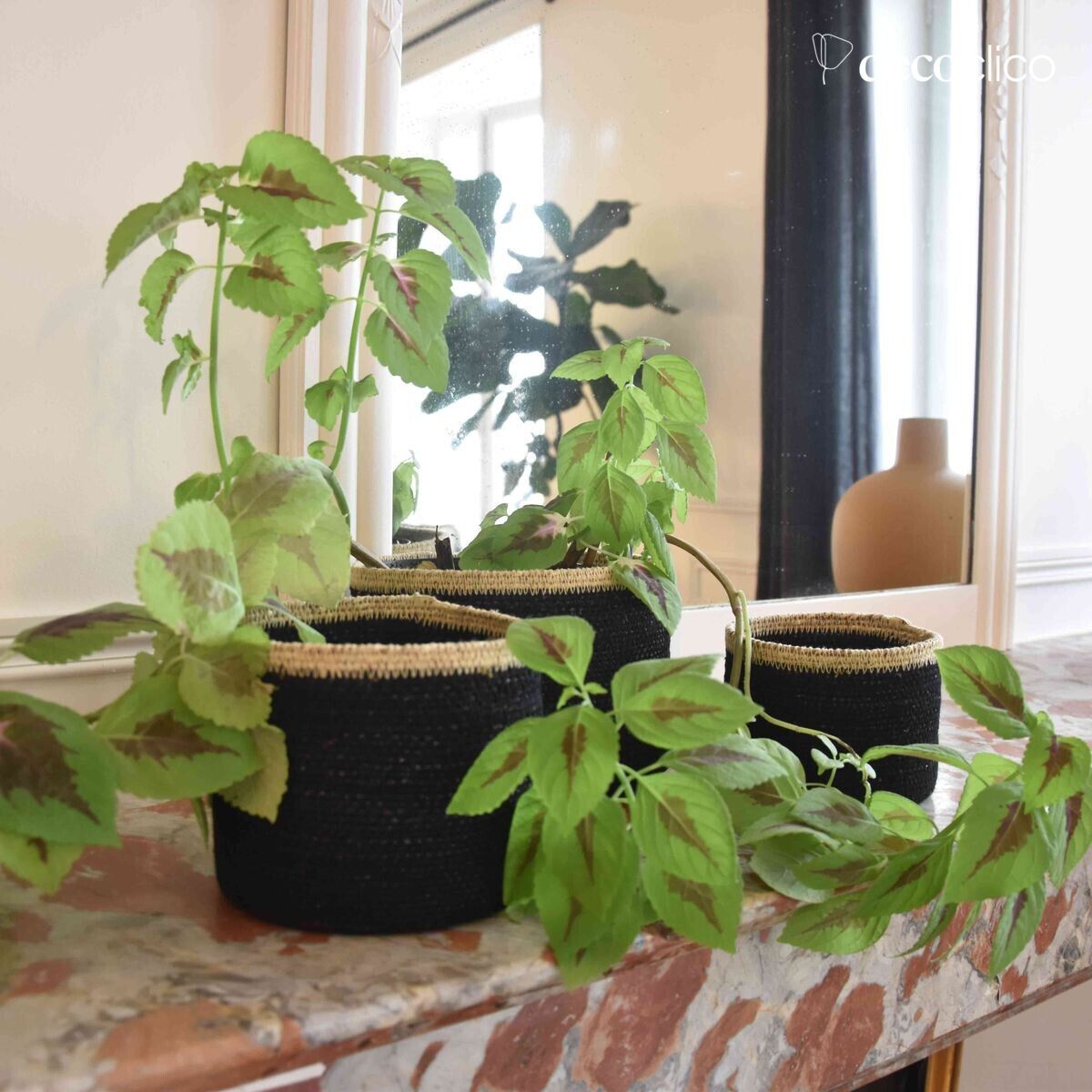 Set di 3 scatole in giunco marino nero con bordi naturali  Bayadère