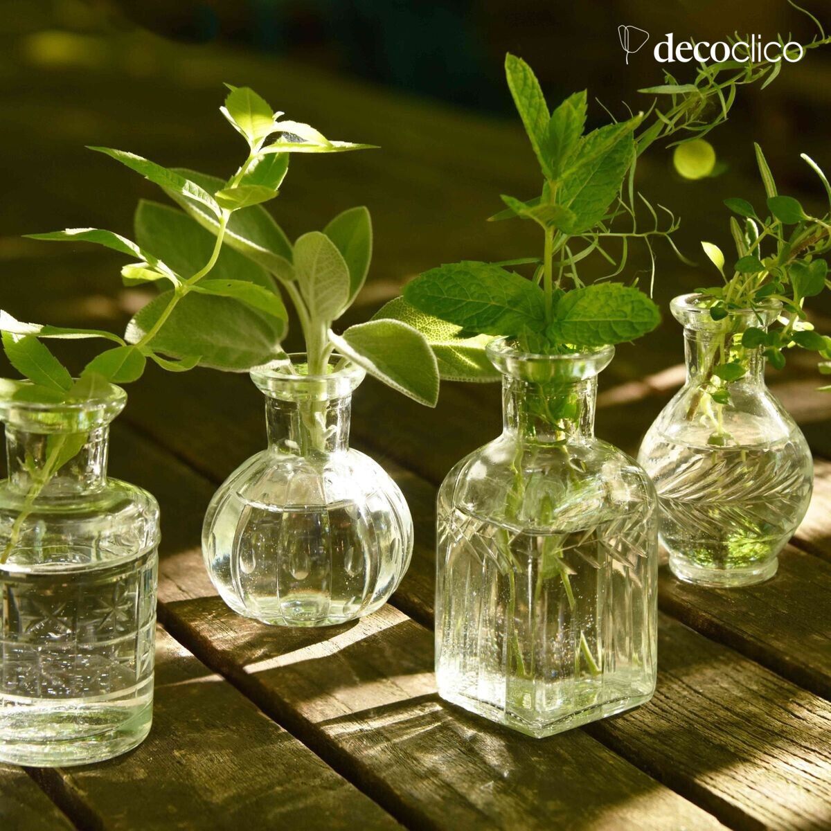 Set van 4 solifores in gegraveerd transparant glas Castille